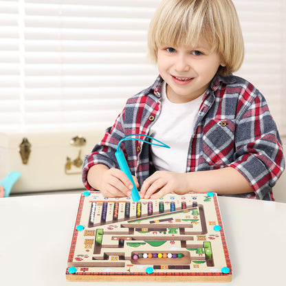 Manyetik Labirent Oyuncak