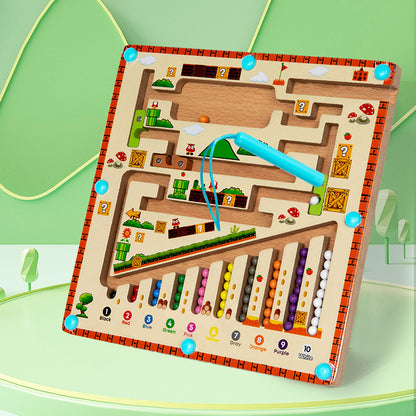 Manyetik Labirent Oyuncak