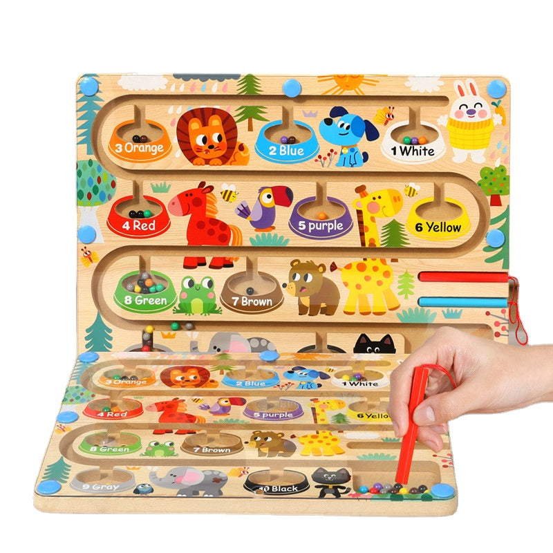 Manyetik Labirent Oyuncak